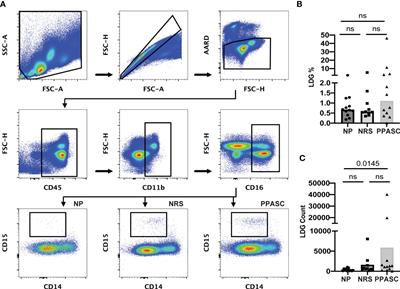 Phenotypic alteration of low-density granulocytes in people with pulmonary post-acute sequelae of SARS-CoV-2 infection